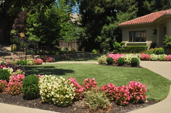 Augusta Artificial Turf Lansdscaping