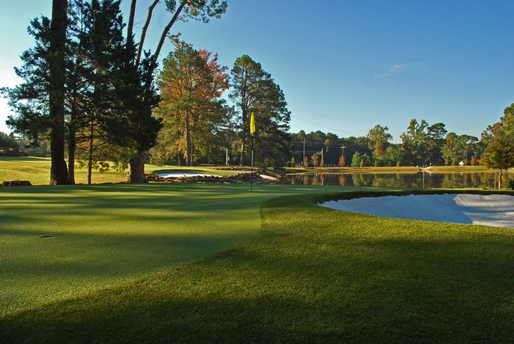 Augusta Artificial Turf Golf Course