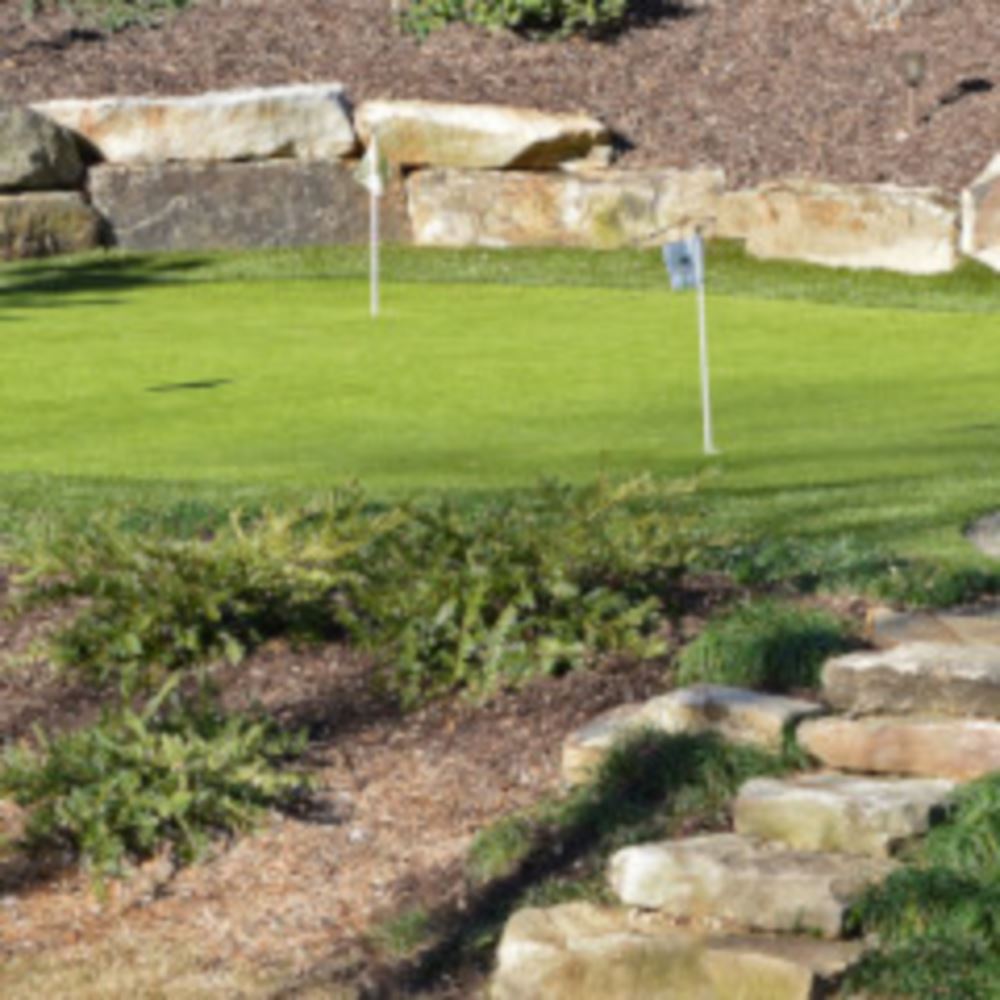 Top Trends For Augusta Backyard Golf Putting Greens